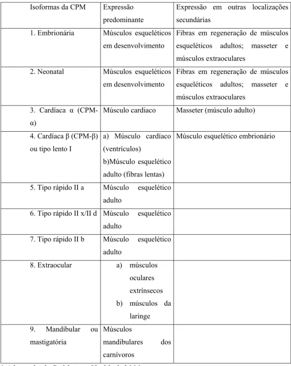 Tabela 2: Isoformas de cadeia pesada de miosina*  