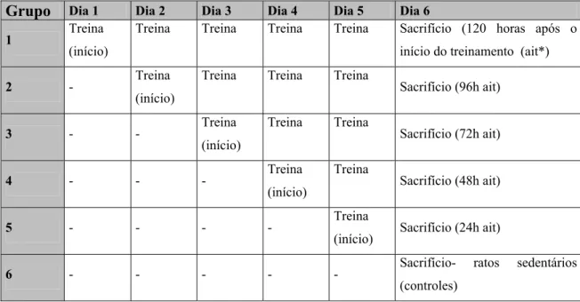TABELA 5 - PROTOCOLO DE TREINAMENTO -1º CONJUNTO DE  ANIMAIS 