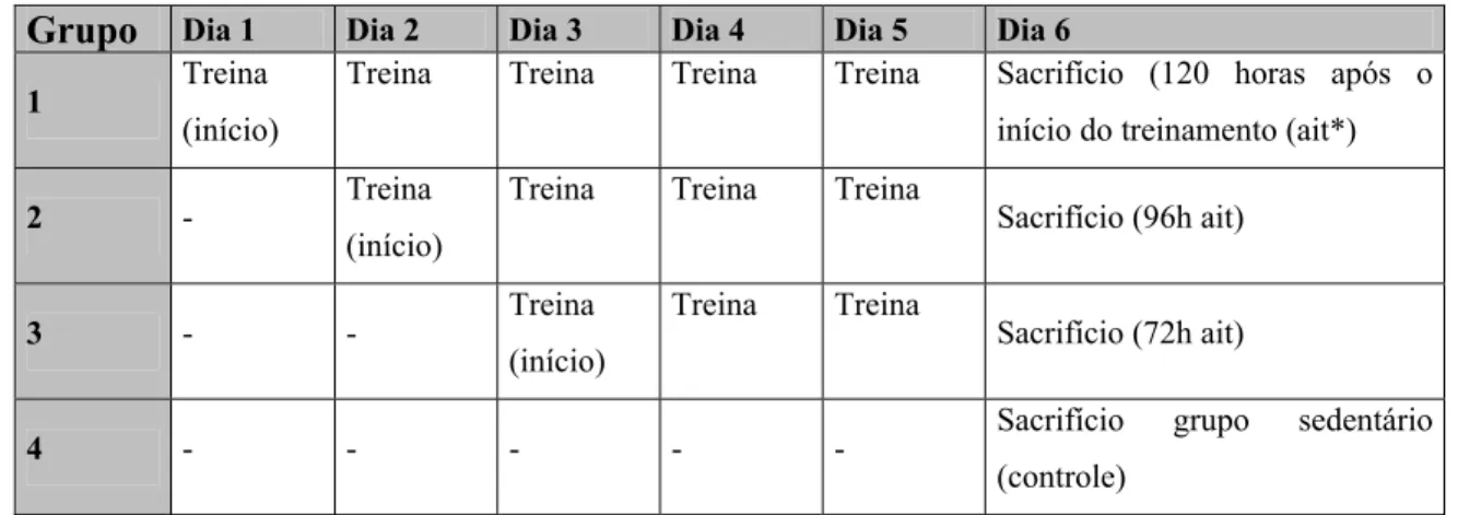 TABELA 6 - PROTOCOLO DE TREINAMENTO -2º CONJUNTO DE  ANIMAIS 