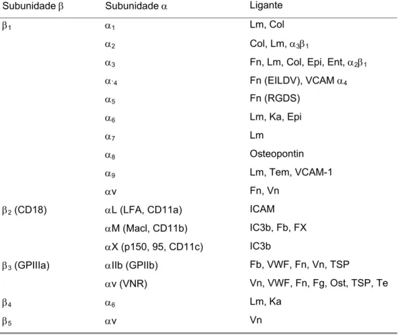 Tabela 2: Subunidades de integrinas e seus ligantes. 