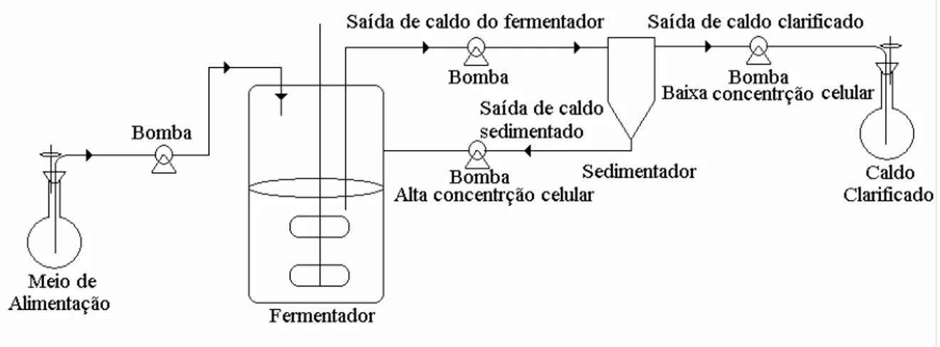 Figura 3-8: Aparato experimental para teste do sedimentados utilizado por Hojo (1990)  B