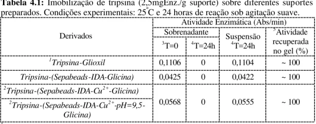 Tabela 4.1: Imobilização de tripsina (2,5mgEnz./g suporte) sobre diferentes suportes  preparados