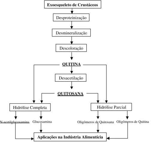Figura 2.12: Esquema para obtenção de quitina, quitosana e seus monômeros e  oligômeros a partir de carapaças de crustáceos (Shahidi et al., 1999)