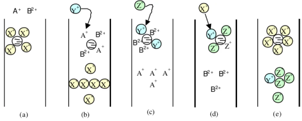 Figura 2.16: Esquema do mecanismo de troca iônica. A +  e B 2+  são materiais a serem  separados