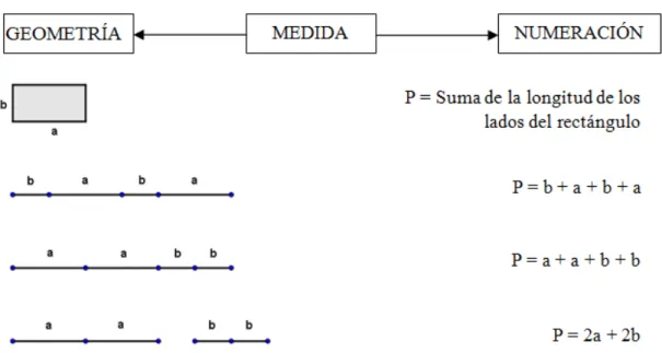 Figura 3. Conexiones entre representaciones asociadas al cálculo de perímetro  En el segundo momento crítico, la ingeniosa propuesta de Marc de transformar el  rec-tángulo en un cuadrado para calcular el perímetro de una forma más sencilla le  ofrece-ría a