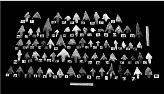 FIGURA 8. Conjunto de 68 puntas de flecha documentadas en el sepulcro colectivo de la Costa de Can Martorell (Barcelona).