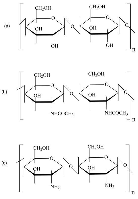 FIGURA 1.1. Representação esquemática das estruturas primárias de (a) celulose,  (b) quitina e (c) quitosana