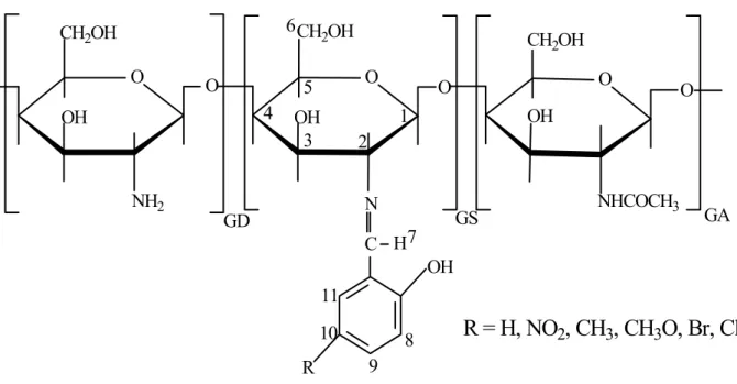 FIGURA 5.9. Estrutura genérica das bases de Schiff biopoliméricas obtida a partir de  quitosana 