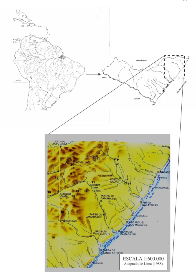 Figura 1. Localização das estações de coleta (A-G) no rio Manguaba, Alagoas. 