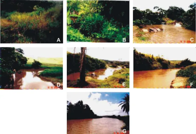 Figura 2 . Fotos das estações de amostragem (A-G) no rio Manguaba, Alagoas.  
