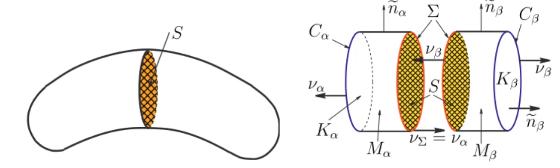 Figura 3.1: O dom´ınio Ω com a vizinhan¸ca de S.