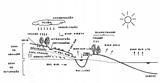 Figura 1: Componentes do ciclo hidrológico.                          Fonte: Tucci, pp38 (1993)