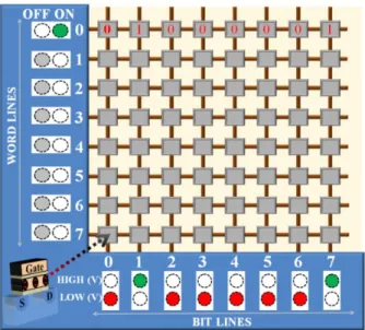 Figure 1.3 - A memory array based on transistors arranged into rows (word lines) and columns (bit lines)  inside a memory chip