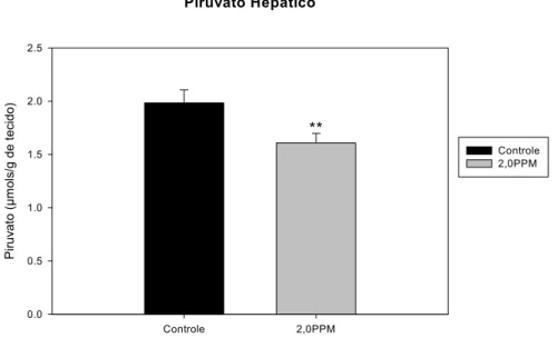 FIGURA 11 Valores médios±EPM das concentrações de piruvato hepática (µmol/g de  tecido) de B