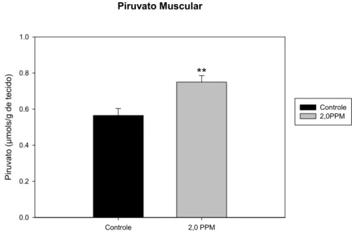 FIGURA 18. Valores médios±EPM das concentrações de piruvato muscular (µmol/g  de tecido) de B