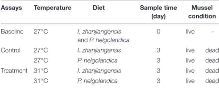 TABLE 1 | The treatment condition of the mussel M. coruscus.