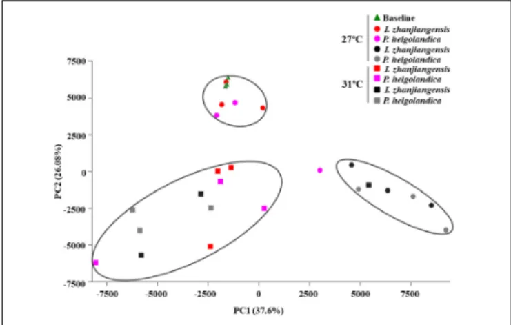 FIGURE 6 | Principal components analysis of gut microbiome. Red and pink spot or square means live mussel groups