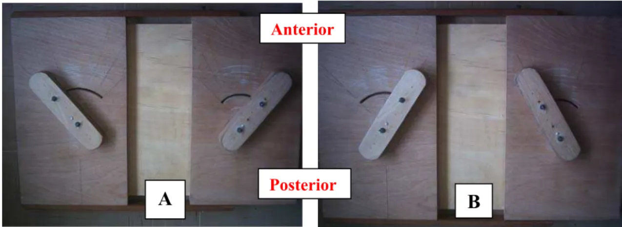 FIGURA 3: Plataforma de Agachamento - A: Rotação Lateral; B: Rotação Medial 