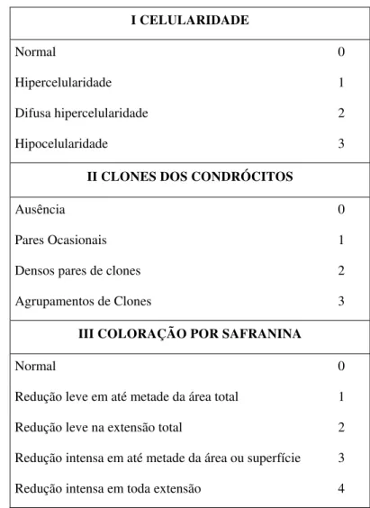 Tabela 2: Critérios de avaliação dos níveis de lesão da cartilagem articular, a partir dos  Sistemas de Graduação Histológico-Histoquímico para cartilagem articular de Mankin et al 