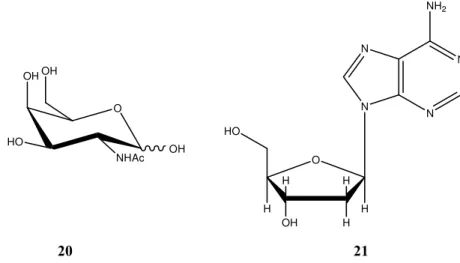 FIGURA 1.10.   2-Acetamido-2-deoxi-D-galactose (20) e deoxiadenosina (21). 