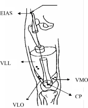 Figura 4: Modelo do posicionamento dos eletrodos ativos de superfície nos  músculos VMO, VLO e VLL mostrando a linha de referência entre o centro da patela  (CP) e a espinha ilíaca ântero-superior (EIAS)