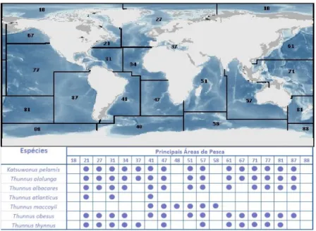 Figura 3.1. Distribuição geográfica de espécies de atuns por zona FAO (DGPA, 2008). 