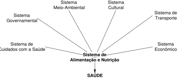 FIGURA 2.4 – Relacionamento dos Diferentes Sistemas em busca da Saúde 