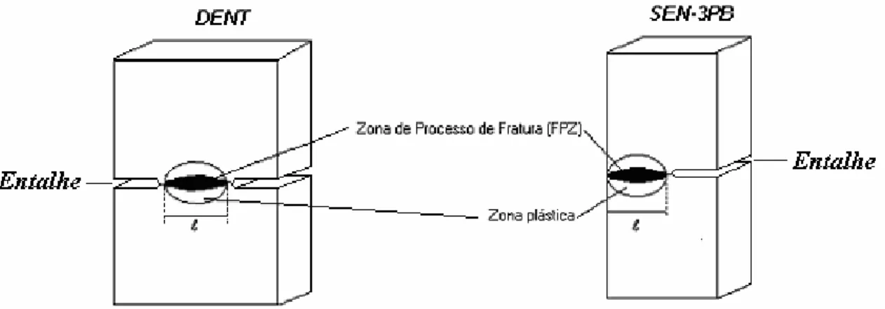 Figura 2.6 - Esquema de amostras de fratura dúctil apresentando a zona de  processo de fratura (FPZ) e a zona plástica