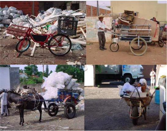 Figura 2 – Meios de transporte de resíduo utilizados pelos catadores autônomos 