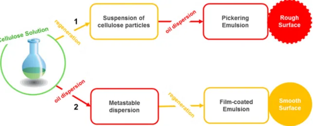 Figure 3. Two established approaches of preparing emulsions stabilized by cellulose. Adapted from  [91]