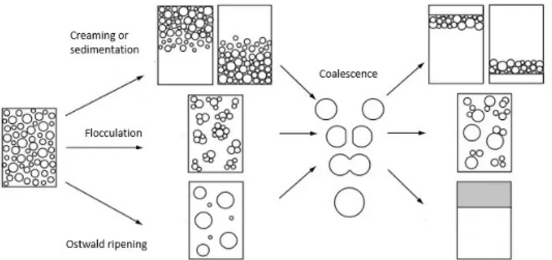 Figure 1. Breakdown mechanisms of an emulsion. Note that different processes may occur simultaneously