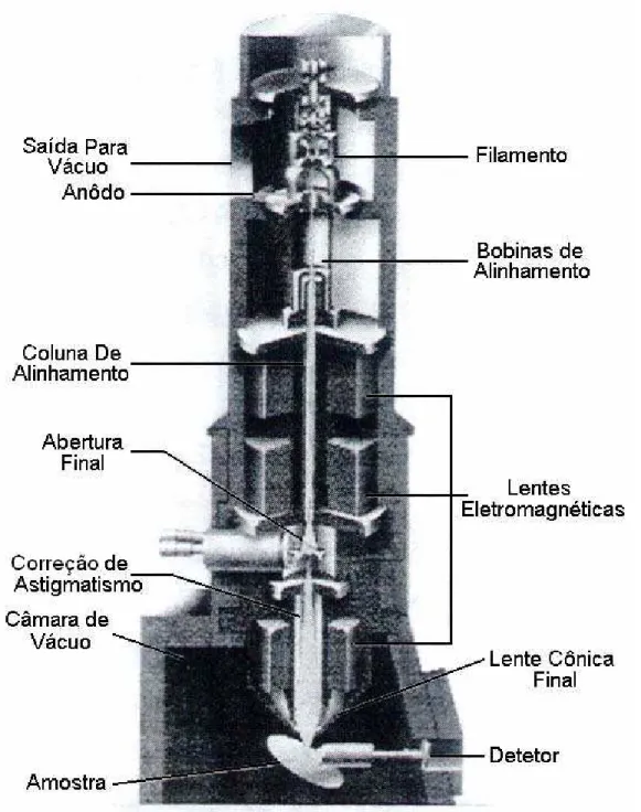Figura 16 – Estrutura interna da coluna e da câmara de amostras de um microscópio  eletrônico de varredura [25] 