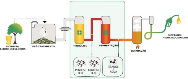 Figura 14 - Processos utilizados na via bioquímica, para a produção de bioetanol (adaptado de (Greene, 2015))