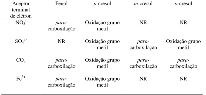 Tabela 2.2 - Mecanismos de formação do ácido benzóico com diferentes aceptores  terminais de elétrons