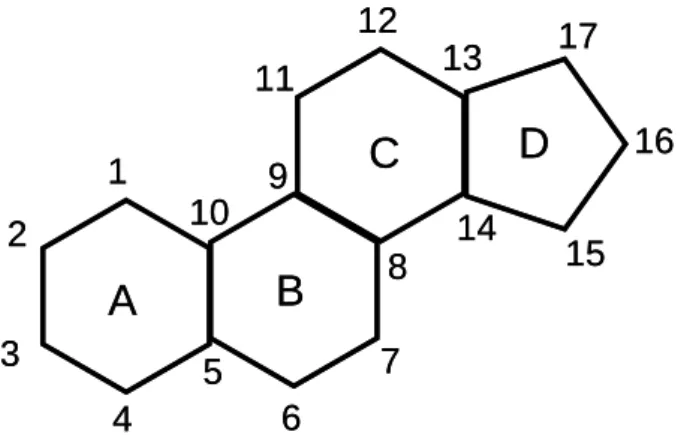 Figure 1.1 – Basic structure of a steroid, showing the  four ring structure (A, B, C and D) and the  numbering of the carbons (Based on Kime, 1993)