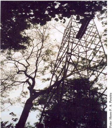FIGURA 3 – Disposição de uma das torres utilizada para o  estudo de fenologia dos indivíduos de  Platymiscium floribundum, no Parque Estadual  Alberto Löfgren no município de São Paulo,  pertencente ao Instituto Florestal no Estado de  São Paulo-SP