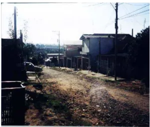 Figura 15 - Vista da ocupação de APP do Jardim Algodoal           Fonte: EMDHAP (2003) 