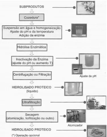 Figura 1.5 – Esquema geral de preparação de hidrolisados proteicos (retirado de Batista,  et al., 2006)