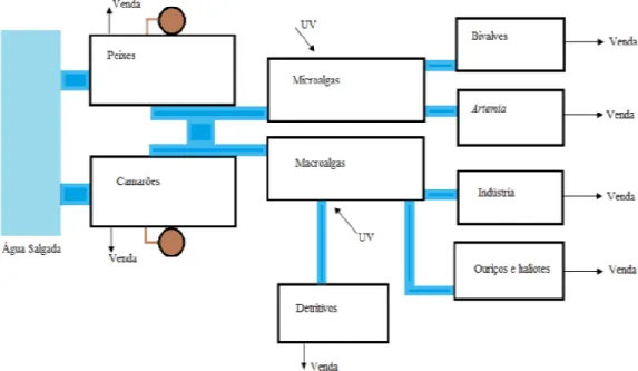 Figura 3 - Exemplo de um sistema de Aquacultura Multitrófica Integrada em Tanques de Terra