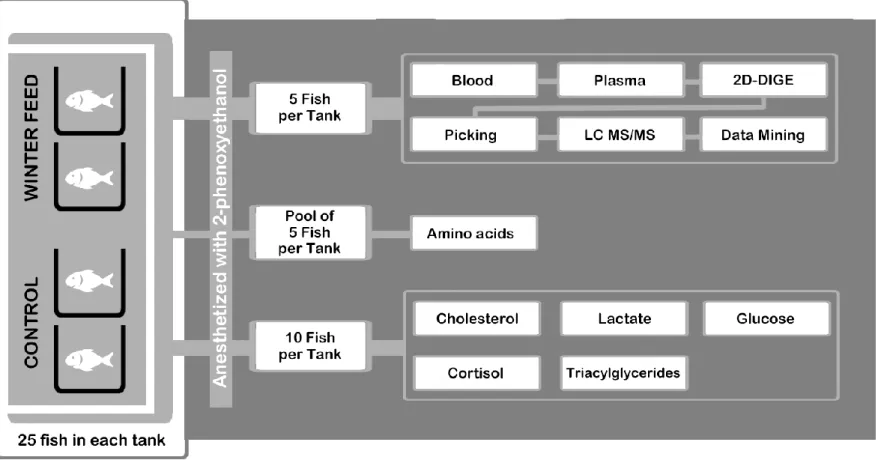 Figure 1 Click here to download Figure Fig1.docx 