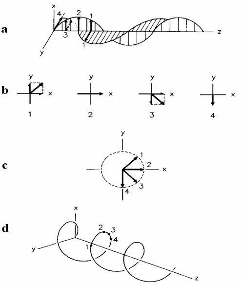 Figura 1.10: Luz circularmente polarizada à direita : A- Os vetores elétricos ortogonalmente polarizados  emitidos a 90 0   estão fora de fase (π/2)