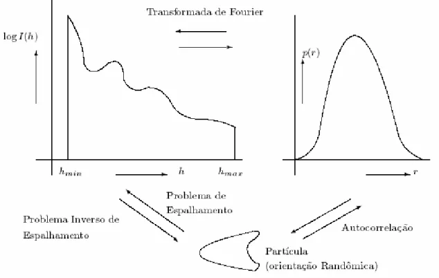 Figura 1.13: Problema inverso do espalhamento. (Newtron, X-ray and light scattering,  Lindner and Zemb, 1991) 