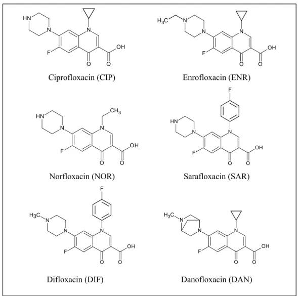 Figure 3 – Examples of fluoroquinolones. 