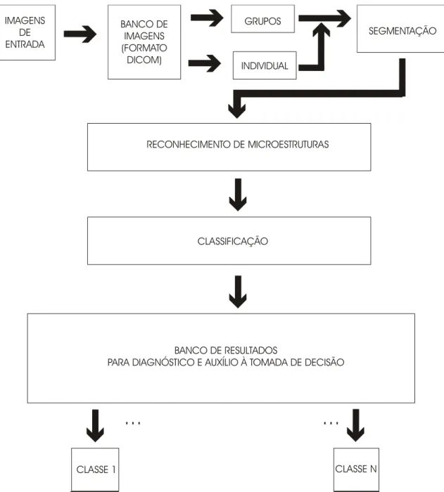 Figura 3.1 - Diagrama esquemático básico do sistema de caracterização de microestruturas em imagens  digitais obtidas com técnicas de Raios X 