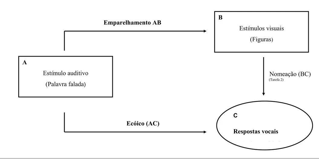Figura 2. Diagrama resumido das relações comportamentais requeridas pelo procedimento