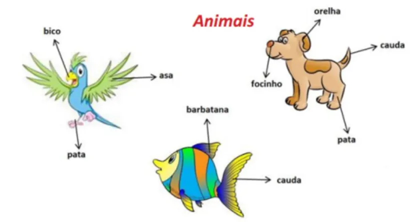 Figura 3.3: Animais 5