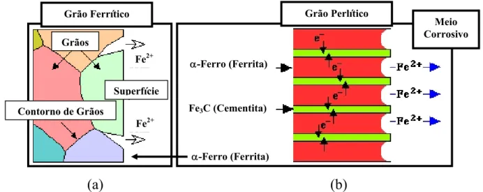 FIGURA 1.2: Representação esquemática do ataque seletivo ao contorno dos ferríticos  (a) e entre as lamelas de  α -ferro e cementita nos grãos perlíticos (b)
