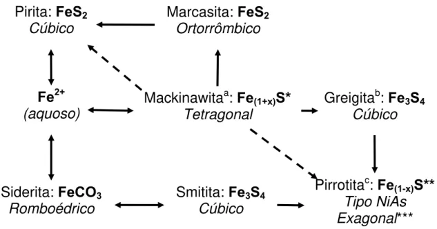 FIGURA 1.10: Principais tipos e interconversões de sulfeto de ferro em solução aquosa