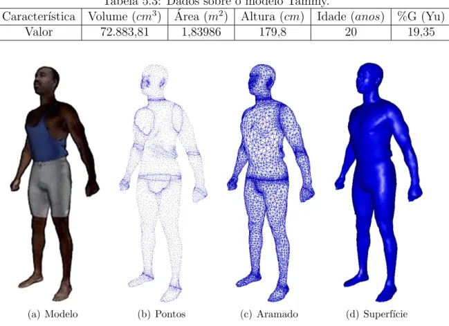 Tabela 5.3: Dados sobre o modelo Tammy.