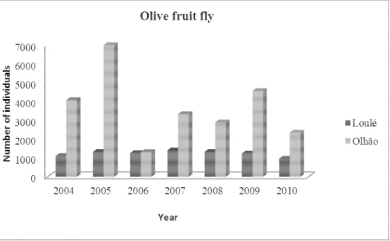 Figure  1.Total  number  of  individuals  of  the  olive  fruit  fly  Bactrocera  oleae  captured  on  vertical yellow sticky traps with sex pheromone in Loulé and Olhão olive groves (2 traps in  each grove)